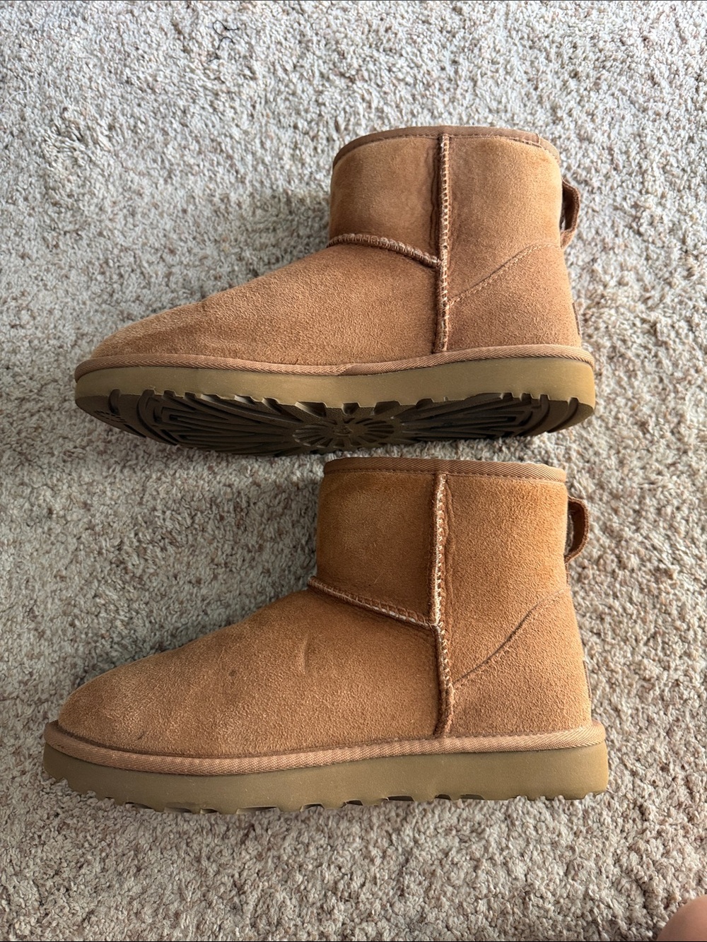 UGG Classic Mini ii Short Shearling Boot in Chestnut 7 - Picture 4 of 8